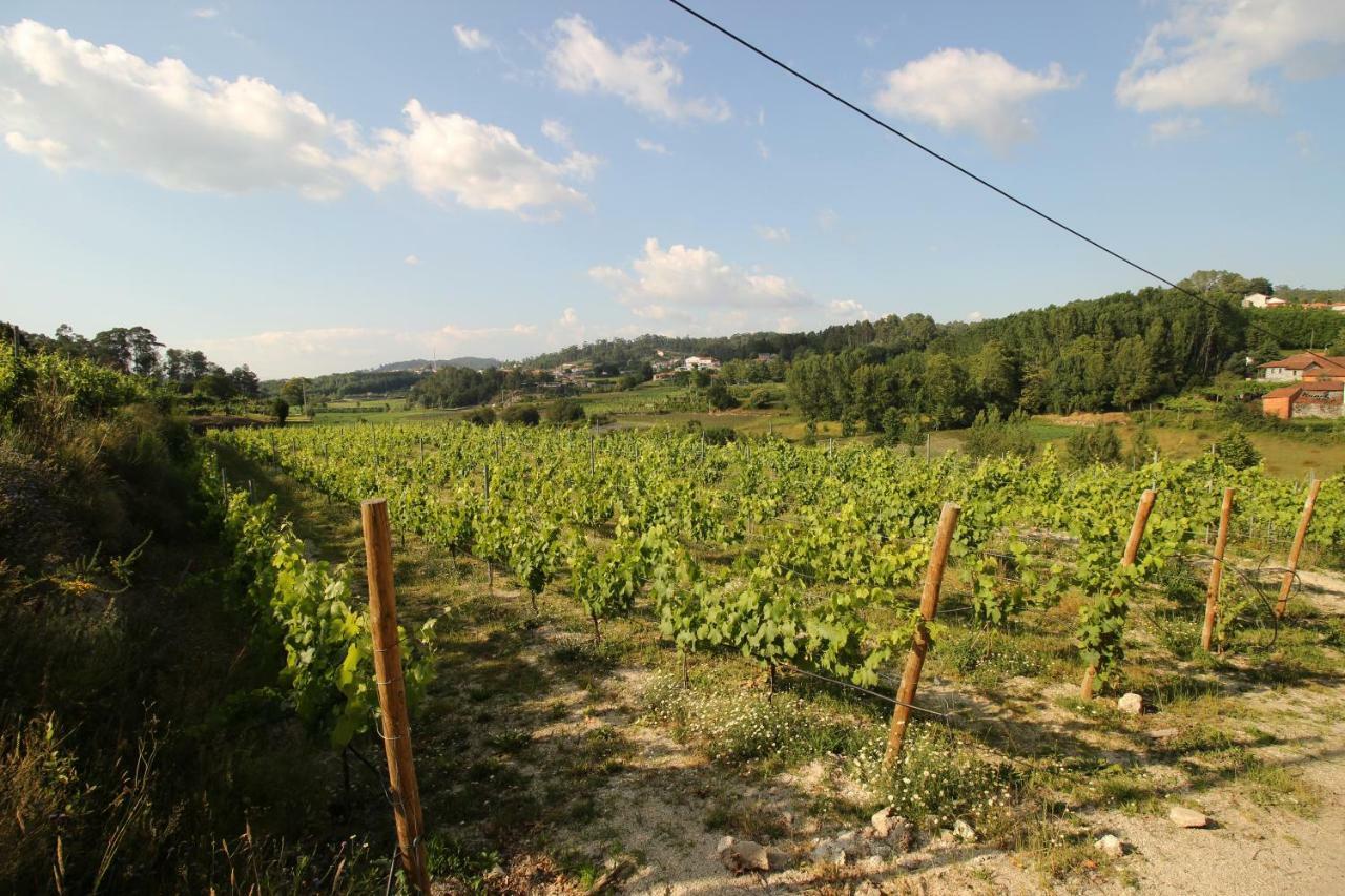Quinta D'Areda Wine&Pool Experience Guest House Fafe Exterior photo